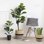 Woven Cotton Rope Plant Basket for Flower Pot Indoor Planters, 10" x 10" Jute Foldable Storage Basket Organizer Modern Decor Household Laundry Basket