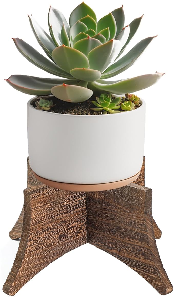 PEKER Plant Stand Indoor, Solid Wood Plant Holder for 5–9 Inch Pots, Low Planter Stand & Plant Riser for Indoor Plants, Stable Pot Stand for Home Decor, Single Wooden Plant Holder