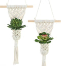 Macrame Wall Hanging Plant Holder with Artificial Succulent, Natural Cotton with Wood Dowel, Boho Wall Decor, Hanging Plants Set of 2 (Succulent 2pcs)