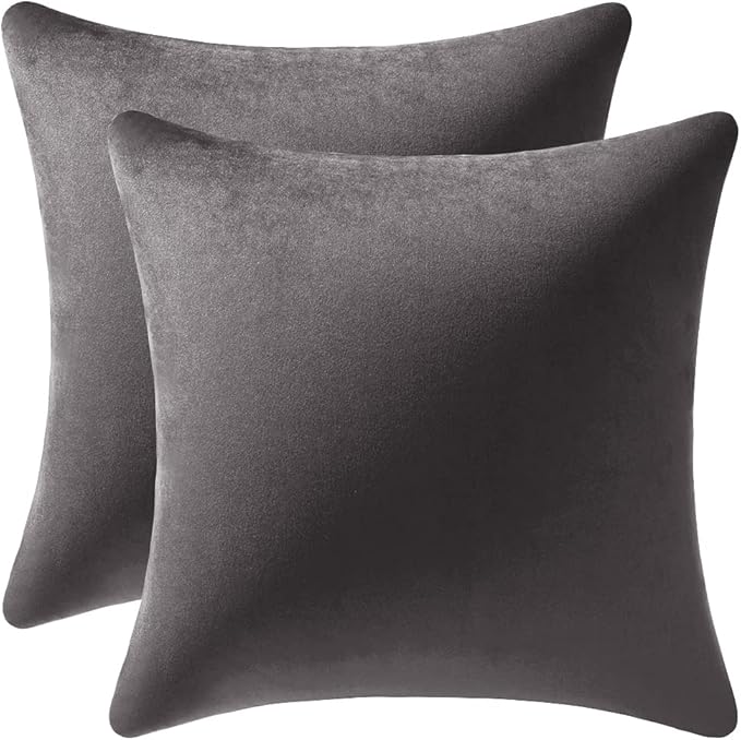 Throw Pillow Covers 22x22 Dark-Grey: Pack of 2 Cozy Soft Velvet Square Modern Luxury Decorative Throw Pillow Cases for Sofa Couch Living Room Bed Home Decor