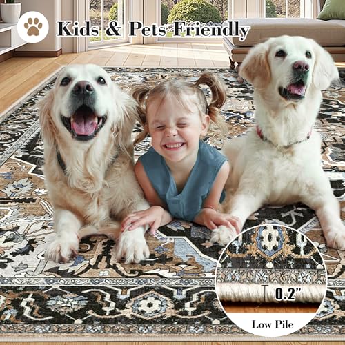 8x10 Black Farmhouse Area Rug - Vintage Boho Washable Rug - Non-Slip Stain & Tumble Resistant Large Carpet for Living Room, Bedroom, Dining Room Under Table, Black Multi - color: Black & Multi, size: 8' x 10' (Rectangular)