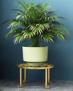 Hewnda 1Pack Metal potted plant stand, rust-proof iron flower pot stand, heavy duty pot stand for indoor patio (Gold)