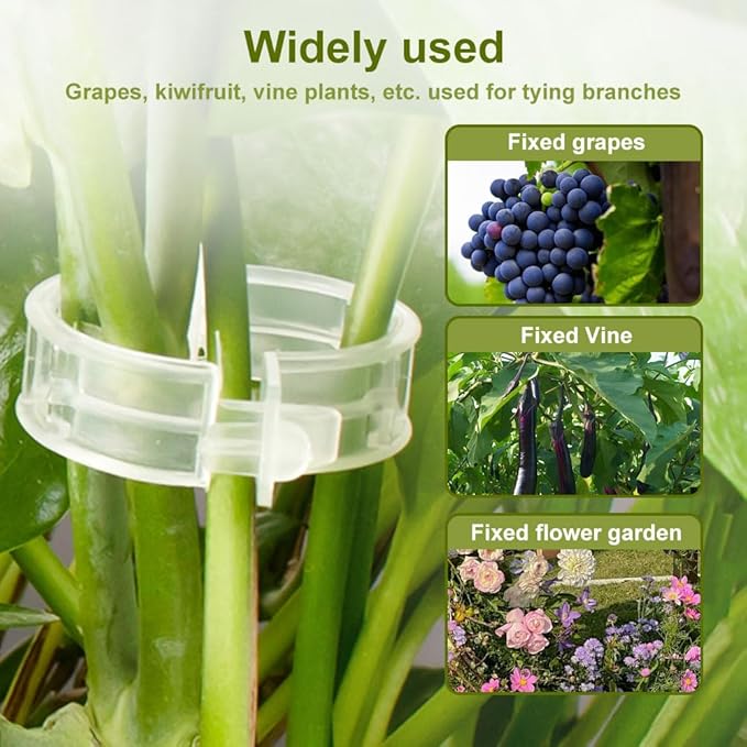 Thickened Plant Fixing Clip 100Pcs, 2025 Summer New Tomato Grape Vine Vegetables Plant Fixing Clips, Upgrade Plant Support Clips Reusable Garden Clips Secured Plastic Plant Clip (200, Green)