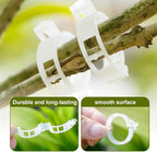 Thickened Plant Fixing Clip 100Pcs, 2025 Summer New Tomato Grape Vine Vegetables Plant Fixing Clips, Upgrade Plant Support Clips Reusable Garden Clips Secured Plastic Plant Clip (200, Black)