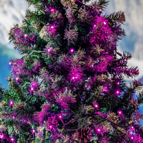 Novelty Lights 25ft 50 LED Pink Christmas Lights Outdoor/Indoor, 6" Spacing, Green Wire String Lights for Festive Xmas Lighting, IP55, UL Listed, Dimmable, Connectable - color: Pink