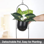 Shineloha 2 Pack Hanging Planters for Indoor Plants with 5.5" Pot + Ceiling Hook | Black Hanging Planter, Metal Plant Hanger, NO Plant incld