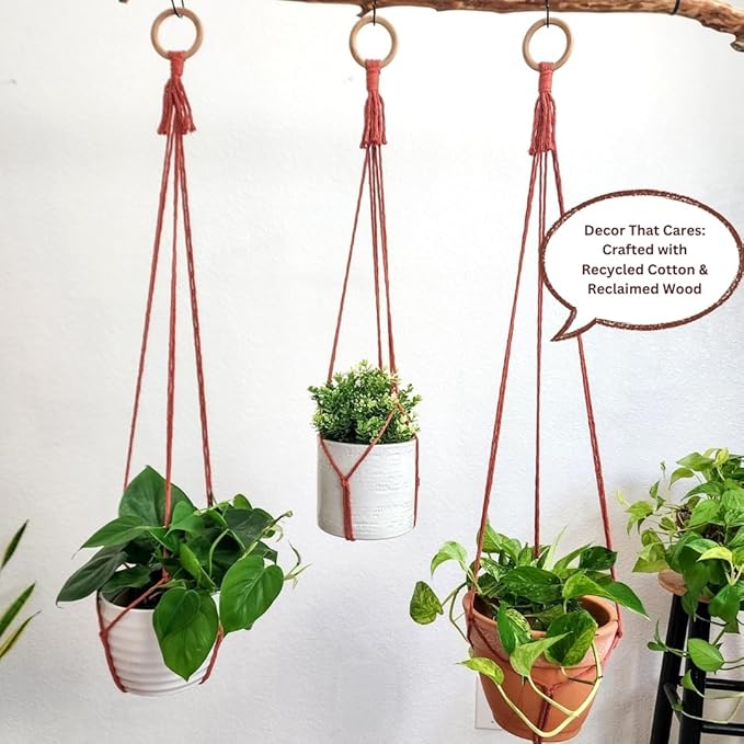 Set of 3 Macrame plant hanger for pots 4-10” live plants indoor and outdoor decor hanging plant holder Boho décor Plant stand Indoor plant shelf for Hanging planter for plant pots (Cafe Latte)