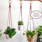 Set of 3 Macrame plant hanger for pots 4-10” live plants indoor and outdoor decor hanging plant holder Boho décor Plant stand Indoor plant shelf for Hanging planter for plant pots (Cafe Latte)