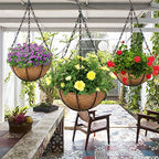 4pcs 20 inch Black Hanging Basket Chain with Hooks Flower Plant Pot Replacement Chain Hanger for Bird Feeders,Planters,Lanterns and Ornaments - size: 20 inch (4pcs)