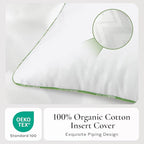 Ashler Home Deco 20x20 Pillows Insert (Set of 4) - Throw Pillow Inserts with 100% Cotton Cover - 20 Inch Square Interior Sofa Stuffer Pillow Inserts -Decorative White Couch Pillow