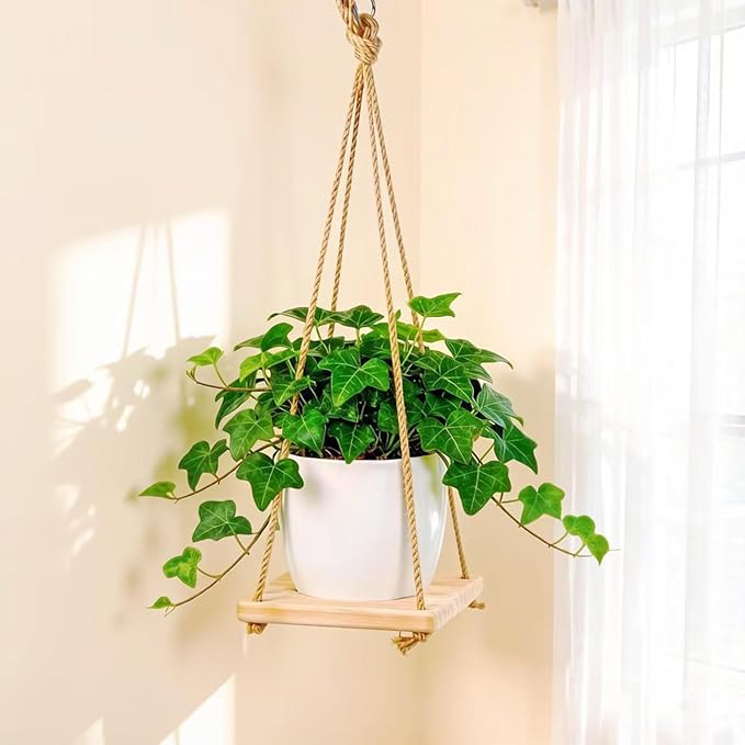 Hanging Plant Hanger for Small Flower Pots with Wood Base & Rope, Hanging Wood Plant Holder for Indoor Plants, Wall Ceiling Plants Hanger for Window Patio Deck Porch Living Room 1 Pack（Pot not included）