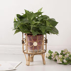 Rattan Plant Stand - 28x21x20cm, ABS Wood, Natural Brown, Hollow Stool Shelf, Pot Holder, Rustic Display Rack | Indoor Outdoor Boho Style Balcony Patio Living Room Decorative Flower Stand
