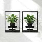 Wall Hanging Plant Stands Planter Shelves, Indoor Outdoor Window Plant Hanger Decor for Living Room Entryway (Black 3-Pack)