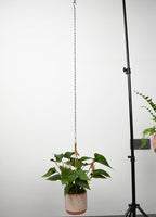 Chain for Hanging Plants,35 Inch Black Hanging Basket Chain Kits with Hooks for Bird Feeder Hanging Plant Extender Porch Wind Chime (Black, 35 Inch-2PCS)