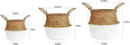 Woven Seagrass Belly Basket for Storage, Laundry, Picnic, Plant Pot Cover, and Grocery and Toy Storage (Medium, White)