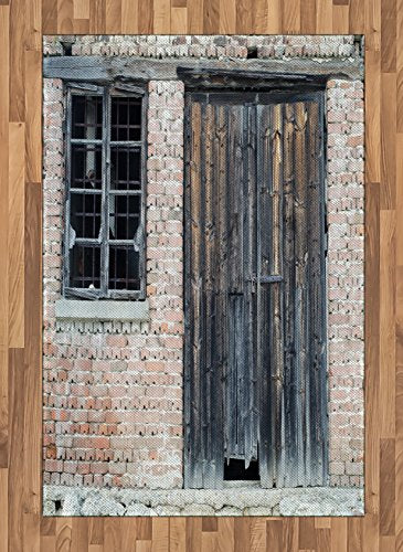 Lunarable Street Area Rug, Old Abandoned House Facade with Brick Wall Decayed Timber Window Frame and Door, Flat Woven Accent Rug for Living Room Bedroom Dining Room, 4' X 5' 7", Multicolor