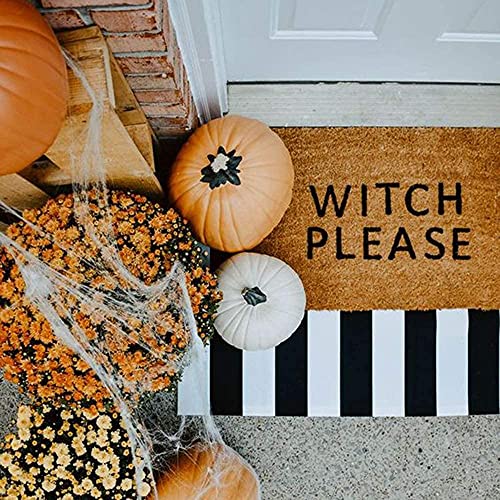 CAINANEL Black and White Striped Outdoor Rug 27.5X 43 inches Front Door Mat Hand-Woven Cotton Indoor/Outdoor for Layered Mats,Welcome Mat, Porch,Farmhouse,Kitchen,Entry Way - color: Black&white Stripe D, size: 2'4" x 3'7" (Rectangular)
