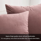 MIULEE Velvet Throw Pillow Covers 16x16 Inch, Pack of 2 - Jam, Soft Solid Decorative Pillow Covers Cushion Cases Modern Luxury Home Decor for Spring Couch Sofa Bedroom Livingroom