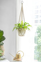 Dahey Macrame Plant Hanger Set of 3 and 2 with Hooks Indoor Hanging Planter Basket 35"/29"/23" Handmade Woven Cotton Rope Flower Plant Holder for Boho Home Decor