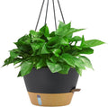 ZMTECH 12 Inch Hanging Planters for Indoor Plants, Large Self Watering Hanging Planter with Visible Water Level Window & Chain, Dark Gray Hanging Baskets for Outdoor Patio