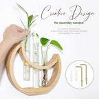 Plant Propagation stations, Crescent Moon Table Terrarium Stand for Indoor houseplants, Wooden Wall Boho Hanging Planter Vase with Glass Test Tube for Office Decor Aesthetic, Gift for Women Mom