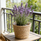 Home Decor Woven Straw Flower Pot Seagrass Planters Basket Garden Plant Pot Containers Wicker Rattan Vase Sundries Organizer Storage Bins for Indoor Outdoor Plants Vintage Decor