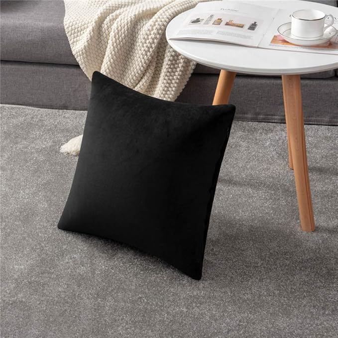 Throw Pillow Covers 20x20 Black: Pack of 2 Cozy Soft Velvet Square Modern Luxury Decorative Throw Pillow Cases for Sofa Couch Living Room Bed Home Decor