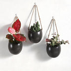 Set of 3 Ceramic Hanging Planters for Small Plants & Artificial Greenery, Wall Decor for Bathroom Living Room Bedroom Home Office Corridors