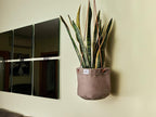 Large Waxed Canvas Handmade Hanging Planter for Indoor/Outdoor Plants, Hanging Basket Plant Holder Stone Gray with Hook