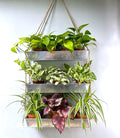 LaLaGreen Wall Hanging Planter - 16 Inch Indoor Wall Planters, 3 Tier Succulent Planters, Metal Silver Window Herb Garden Rectangle Hanging Vertical Plant Pot