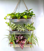 LaLaGreen Wall Hanging Planter - 16 Inch Indoor Wall Planters, 3 Tier Succulent Planters, Metal Silver Window Herb Garden Rectangle Hanging Vertical Plant Pot