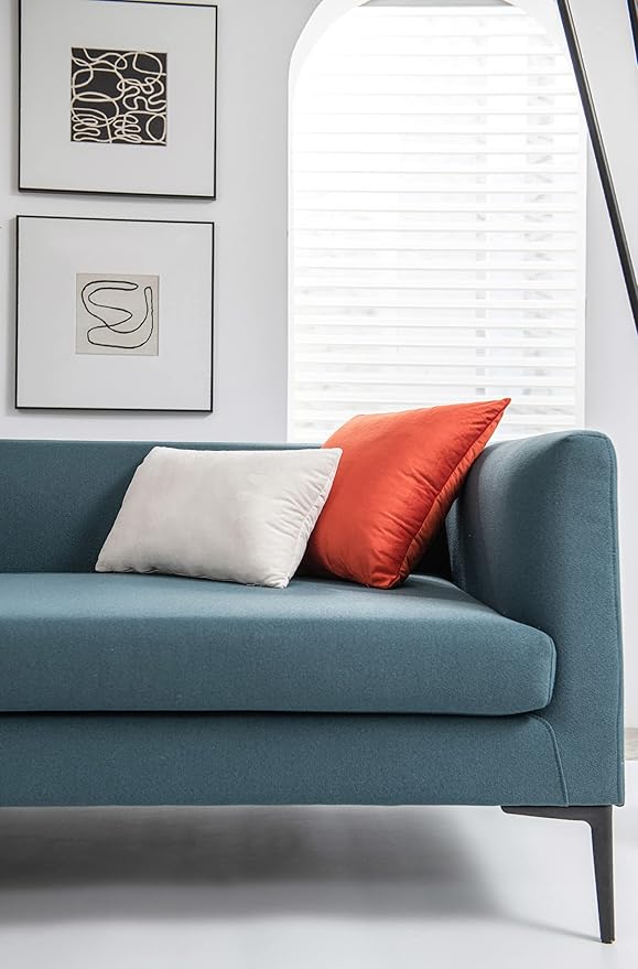 Throw Pillow Covers 20x20 Burnt Orange: Pack of 2 Cozy Soft Velvet Square Modern Luxury Decorative Throw Pillow Cases for Sofa Couch Living Room Bed Home Decor