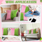 2 Pcs Pink Green Pillow Covers 18 x 18 Inch Soft Dutch Velvet Cushion Covers Witch and Princess Friendship Throw Pillowcase for Car Couch Sofa Bed Spring Easter Sorority Party Decorations