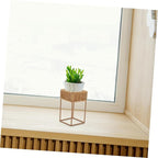 Unomor Boho Wicker Plant Stands Indoor Plant Shelf Small Decorative Tiered Tray for Bonsai Pots Cactus Decorative Pot