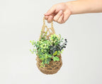 3 Packs Hanging Planters for Indoor Plants up to 4 in., Wall Plant Holder | Plant Hanger Indoor, Wall Planters for Indoor Plants, Hanging Plant (3PK, for 4 inch Pot)