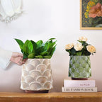 GUGUGO 8 Inch Pearl Black Scale Planter, Cute Unique Plant Pot with Drainage, Eclectic Colorful Small Flower Planters Pots for Indoor Plants, Rainbow Funny Succulent Gardening Pot Gifts
