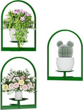 Green Metal Wall Plant Holder - 3-Pack Wall Mounted Plant Stands and Hanging Holders for Indoor Planter and Flower Pot - Arch Decor Shelf for Plant Storage (Pot Not Included)