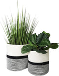 Decorative Baskets for Plants| 9- & 11-inch Pots for Indoor Plants | Floor Planter Pot Cover | Rope Plant Basket for Indoor (Medium 11" Round, Ivory/Black)