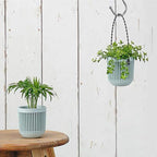 Melphoe 3.5‘’ Two-Piece Succulent Planters Pots with Drainage, Flexible Removable Handle, Flower Pots for Mini Plants Small Hanging Planter for Wall, Window (6 PCAK)