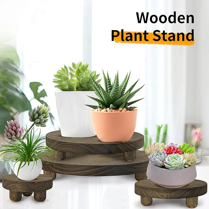 Wood Plant Stand Set of 4,mini Plant Stool 10 8 6 4 Inch, Wooden Display Risers Round Pedestal Counter Decor Holder Tiered Tray for Indoor Home Kitchen Patio Decoration (Dark Brown-4pack)