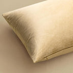 MIULEE 24x24 Inch Euro Sham Velvet Pillow Covers, Set of 2 Large Square Decorative Pillows -Beige Super Soft for King Bed, Sofa, Couch, Accent Chairs with Hidden Zipper