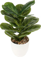 Briful 18 Inch Artificial Plants Realistic Fake Fiddle Leaf Fig Plant Faux Ficus Lyrata Plant Potted Fake Plant in White Pot for Living Room Home Indoor Decor