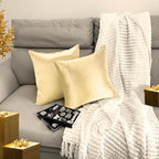 2 Pack 20x20 Pillow Cover Velvet Pillow Covers, Square Throw Pillow Covers for Living Room Decorations Throw Pillow Case, Throw Pillow Cover Cushion Cover for Home Sofa Bedroom Car, Champagne