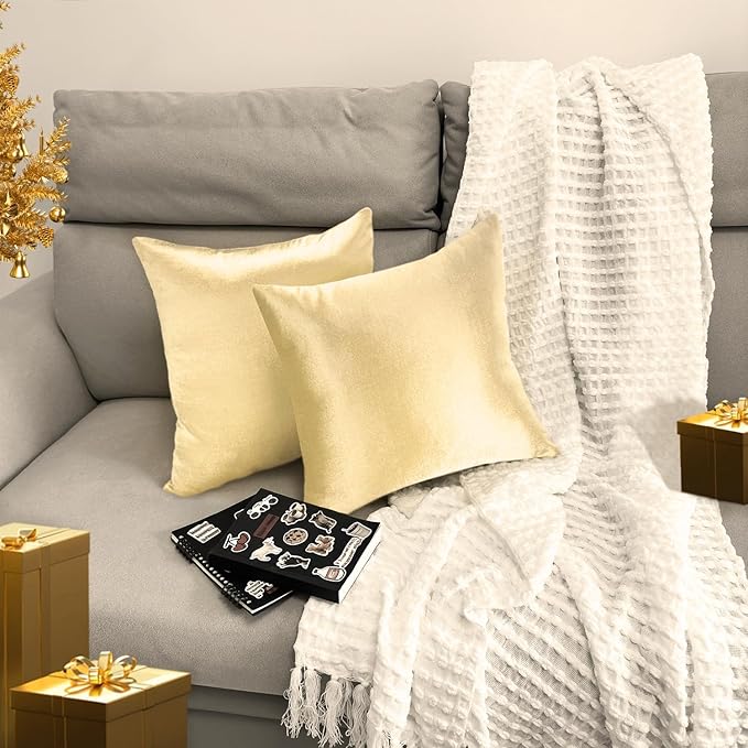 2 Pack 18x18 Pillow Cover Velvet Pillow Covers, Square Throw Pillow Covers for Living Room Decorations Throw Pillow Case, Throw Pillow Cover Cushion Cover for Home Sofa Bedroom Car, Champagne