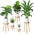 5-Pack Wood Plant Stands Indoor, Single Plant Stand for 6-22 Inch Pots, Mid-Century Modern Plant Stool, Tall Plant Stand for Large Plants Perfect Fit for Living Room, Balcony, Office (Light Brown)