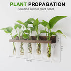 Plant Propagation Station Tubes, 3 Tiered 15 Wall Hanging Glass Test Tubes Vase Planter for Hydroponic Home Garden Office Decor, Gardening Gifts for Women Plant Lover - Brown