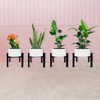 Mini 4Legs Adjustable Metal Plant Stand for 5"-10" Plant Pot – Indoor & Outdoor (Black, 1 Pcs)