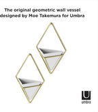 Umbra Trigg Hanging Planter Vase Wall Decor, Set of 2 Pots Containers for Succulents, Cactus, Faux Plants, and More, Small, White/Brass
