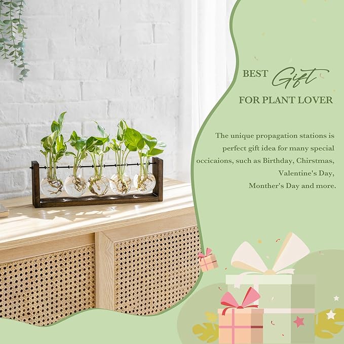 Mkono Plant Terrarium with Wooden Stand, Wall Hanging Glass Planter Desktop Plant Propagation Vase with Metal Swivel Retro Rack for Hydroponics Plants Home Office Decor (5 Bulb Vase)