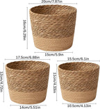 Jute Rope Plant Basket Indoor Modern Woven Flower Pot Basket Seagrass Storage Organizer Planter Rustic Decorative Plant Containers Cover Laundry Bin for Porch Living Room Entryway (7.87×7.87×6.29Inch)